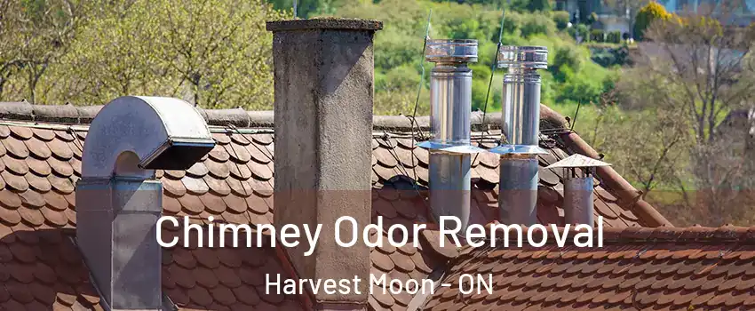 Chimney Odor Removal Harvest Moon - ON