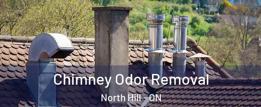 Chimney Odor Removal North Hill - ON
