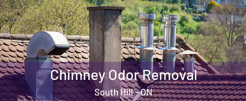 Chimney Odor Removal South Hill - ON