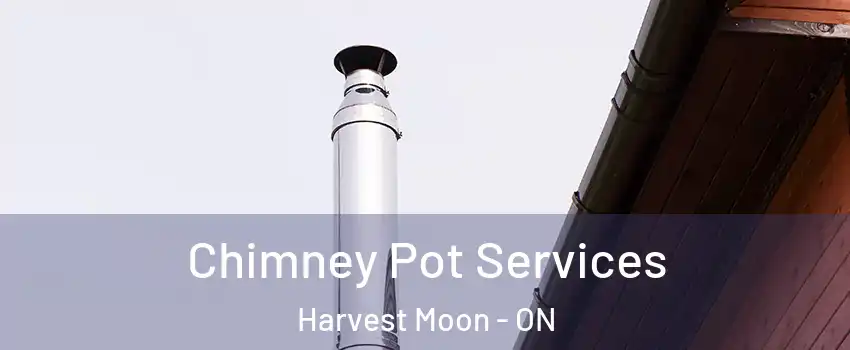 Chimney Pot Services Harvest Moon - ON