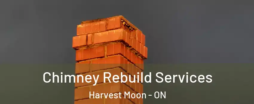 Chimney Rebuild Services Harvest Moon - ON