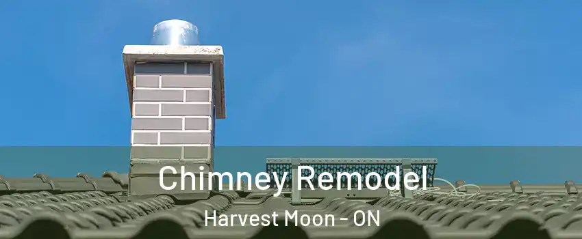 Chimney Remodel Harvest Moon - ON