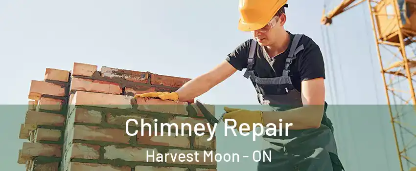 Chimney Repair Harvest Moon - ON