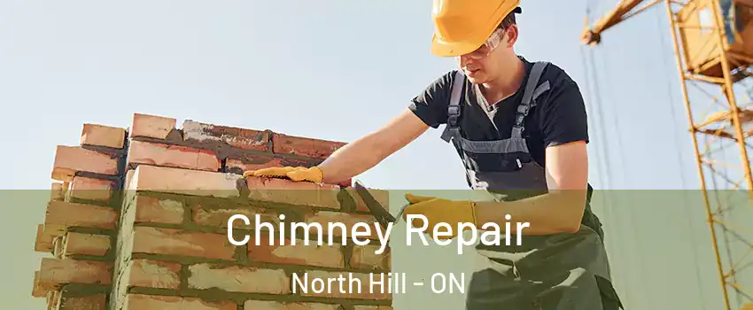 Chimney Repair North Hill - ON