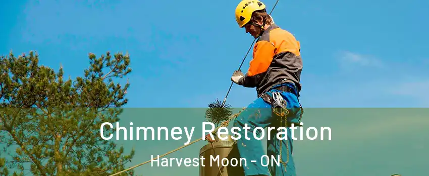 Chimney Restoration Harvest Moon - ON