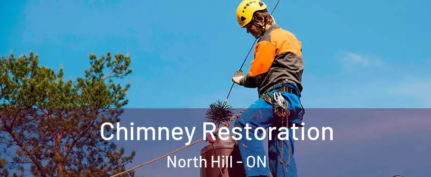 Chimney Restoration North Hill - ON