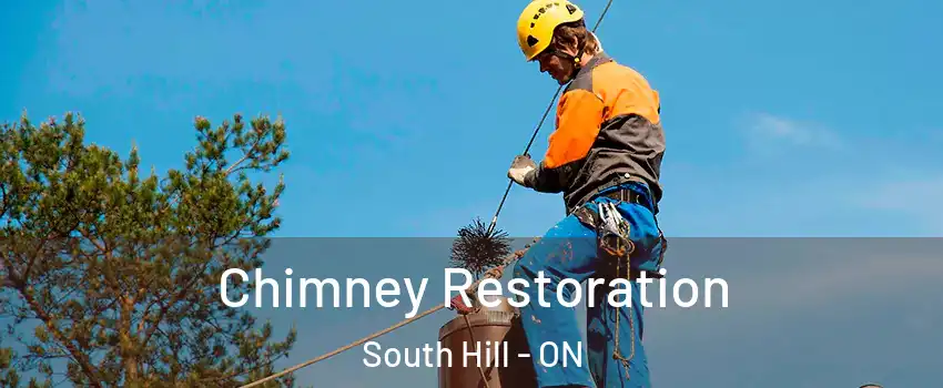 Chimney Restoration South Hill - ON