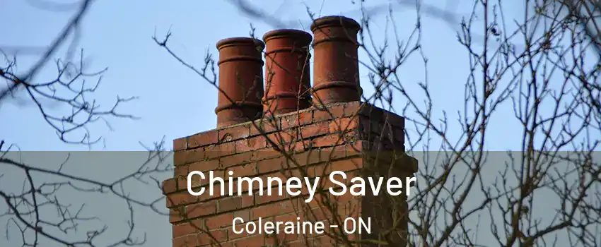 Chimney Saver Coleraine - ON