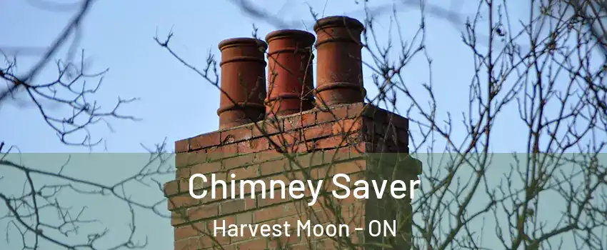 Chimney Saver Harvest Moon - ON
