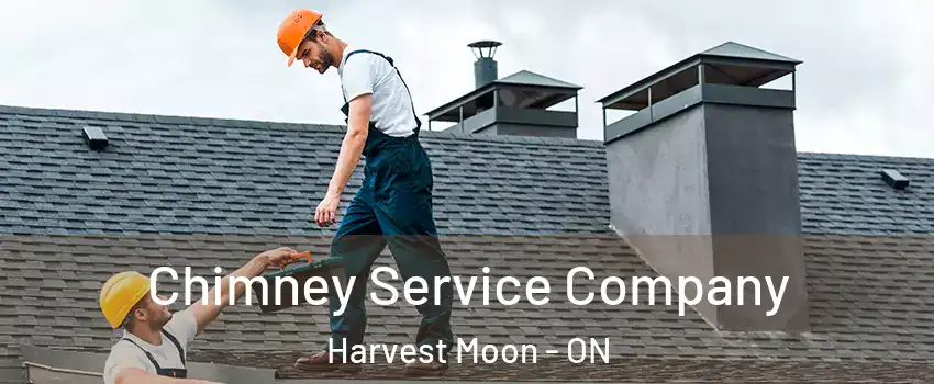 Chimney Service Company Harvest Moon - ON