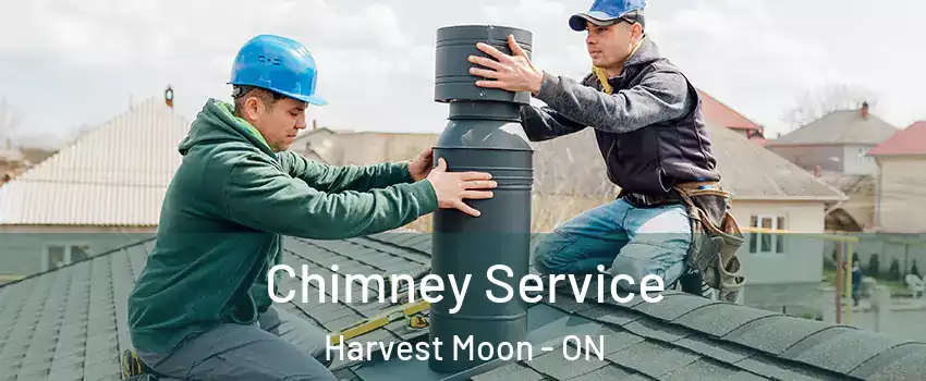Chimney Service Harvest Moon - ON
