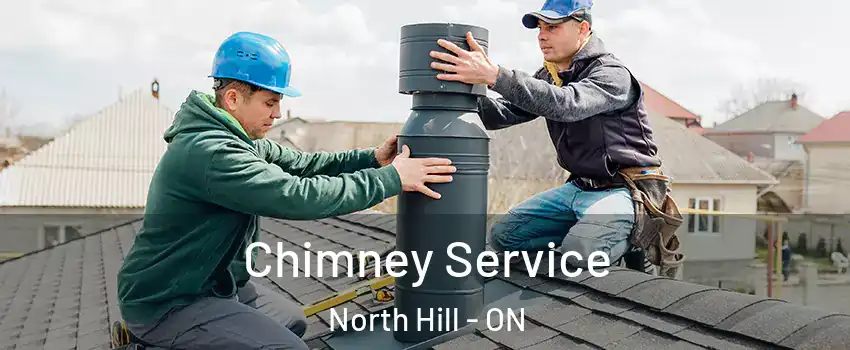 Chimney Service North Hill - ON