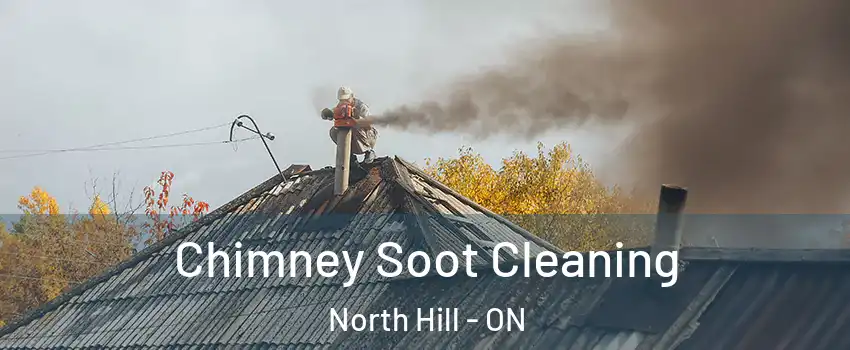 Chimney Soot Cleaning North Hill - ON