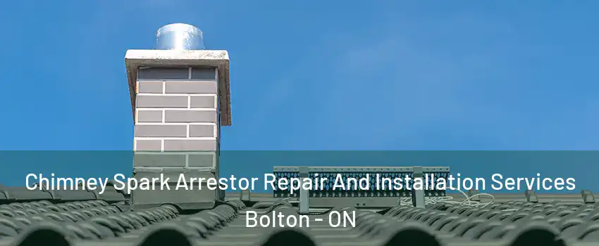 Chimney Spark Arrestor Repair And Installation Services Bolton - ON