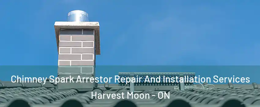 Chimney Spark Arrestor Repair And Installation Services Harvest Moon - ON