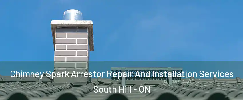 Chimney Spark Arrestor Repair And Installation Services South Hill - ON