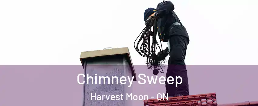 Chimney Sweep Harvest Moon - ON