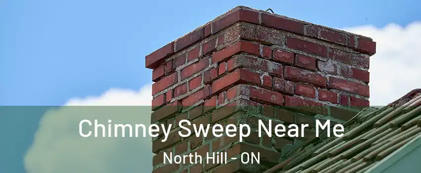 Chimney Sweep Near Me North Hill - ON