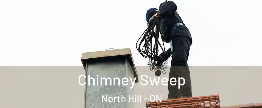 Chimney Sweep North Hill - ON