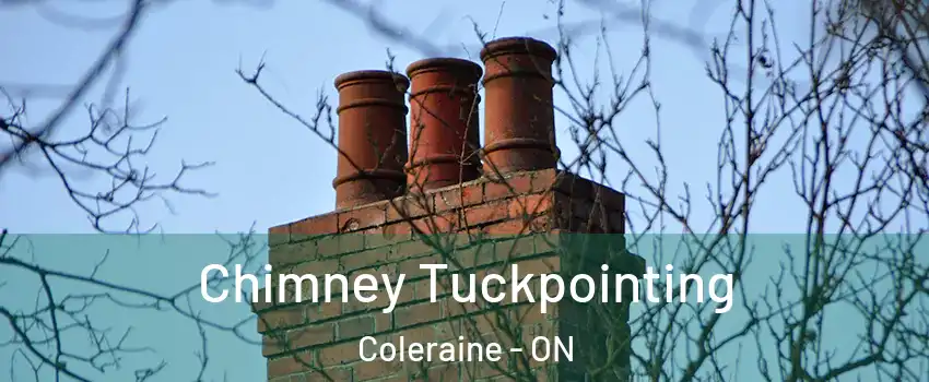 Chimney Tuckpointing Coleraine - ON