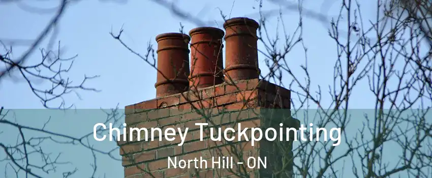 Chimney Tuckpointing North Hill - ON