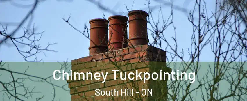 Chimney Tuckpointing South Hill - ON