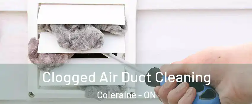 Clogged Air Duct Cleaning Coleraine - ON