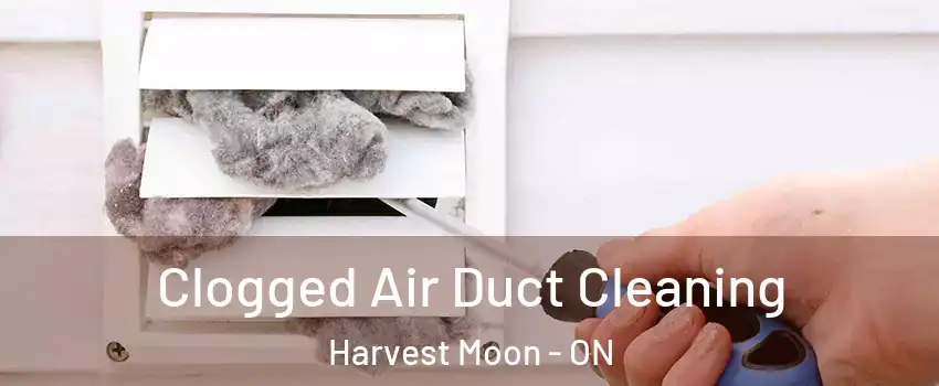 Clogged Air Duct Cleaning Harvest Moon - ON