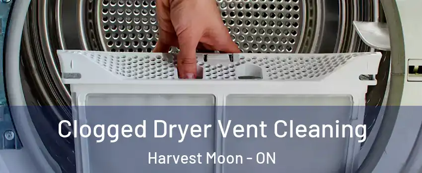 Clogged Dryer Vent Cleaning Harvest Moon - ON