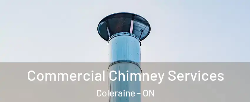 Commercial Chimney Services Coleraine - ON