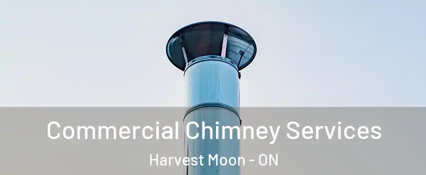 Commercial Chimney Services Harvest Moon - ON