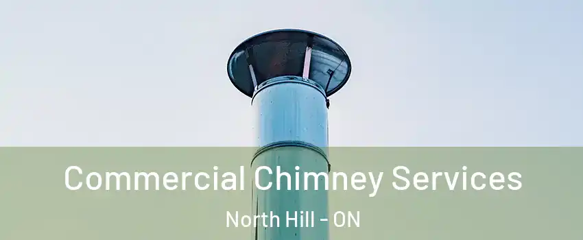 Commercial Chimney Services North Hill - ON