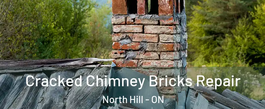 Cracked Chimney Bricks Repair North Hill - ON