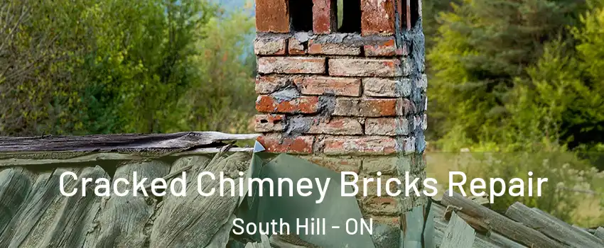 Cracked Chimney Bricks Repair South Hill - ON