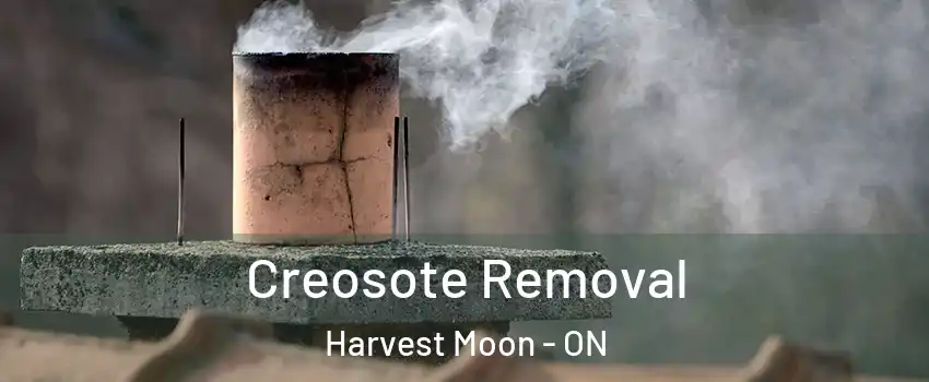  Creosote Removal Harvest Moon - ON