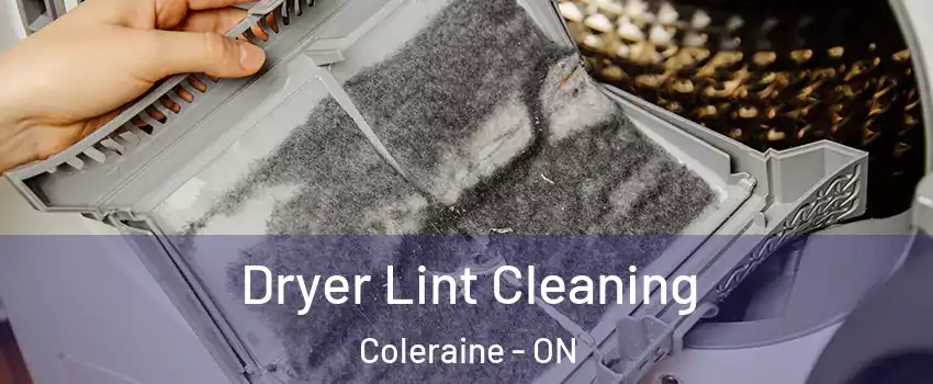 Dryer Lint Cleaning Coleraine - ON