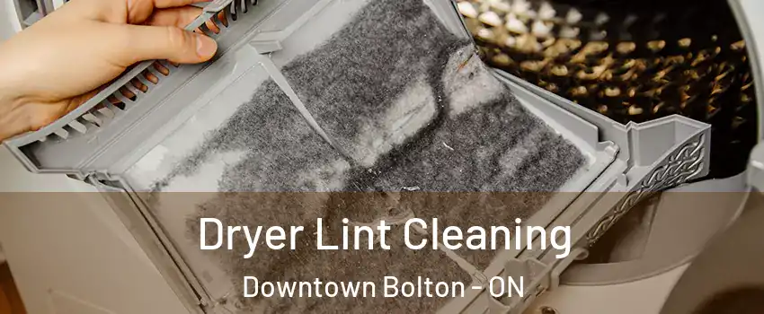 Dryer Lint Cleaning Downtown Bolton - ON