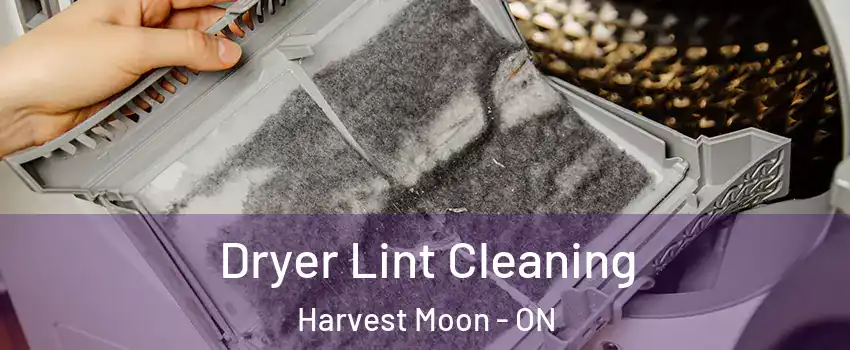Dryer Lint Cleaning Harvest Moon - ON