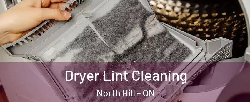 Dryer Lint Cleaning North Hill - ON