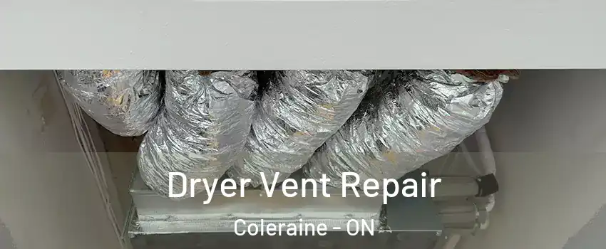 Dryer Vent Repair Coleraine - ON