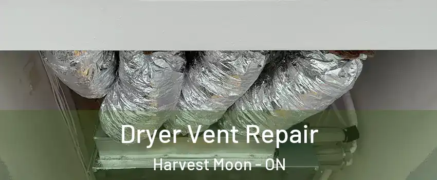 Dryer Vent Repair Harvest Moon - ON