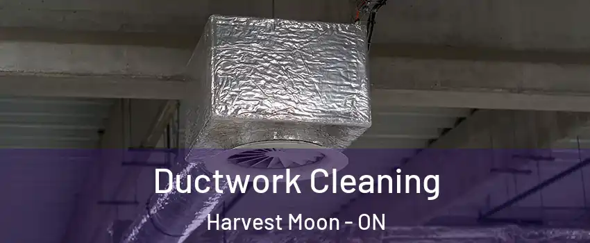 Ductwork Cleaning Harvest Moon - ON