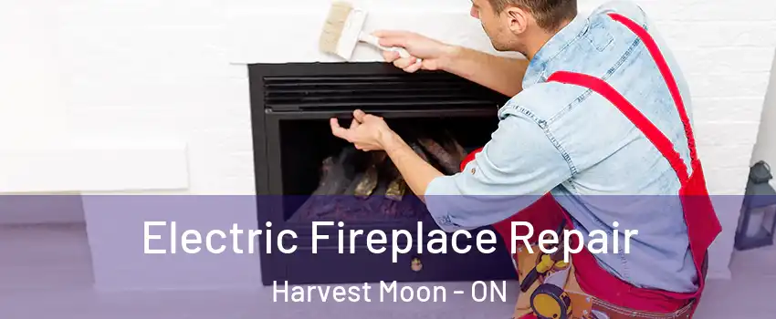 Electric Fireplace Repair Harvest Moon - ON