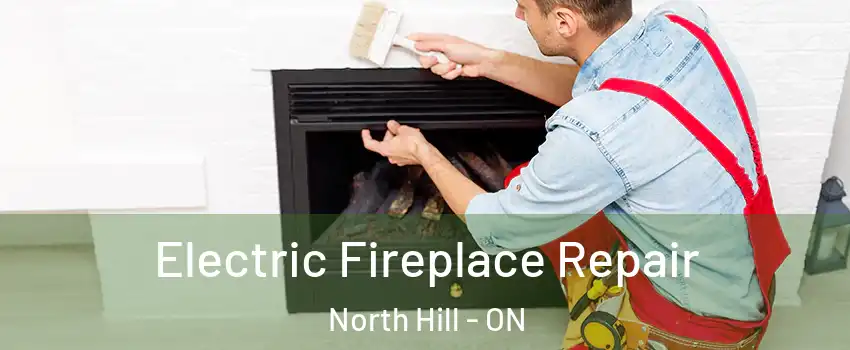 Electric Fireplace Repair North Hill - ON
