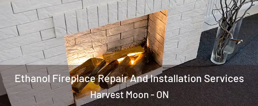 Ethanol Fireplace Repair And Installation Services Harvest Moon - ON