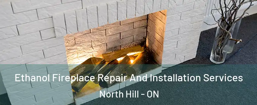 Ethanol Fireplace Repair And Installation Services North Hill - ON