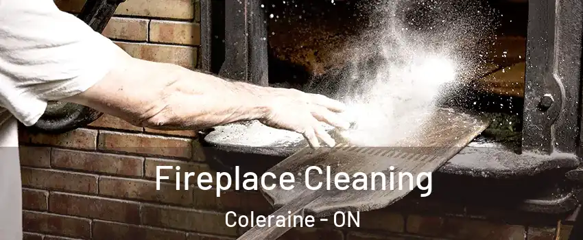 Fireplace Cleaning Coleraine - ON