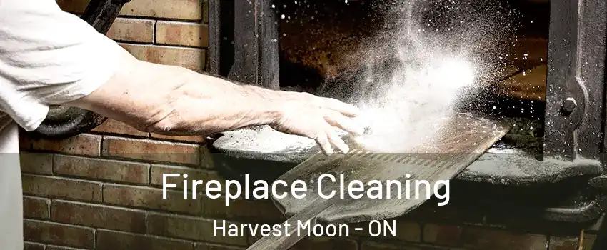 Fireplace Cleaning Harvest Moon - ON