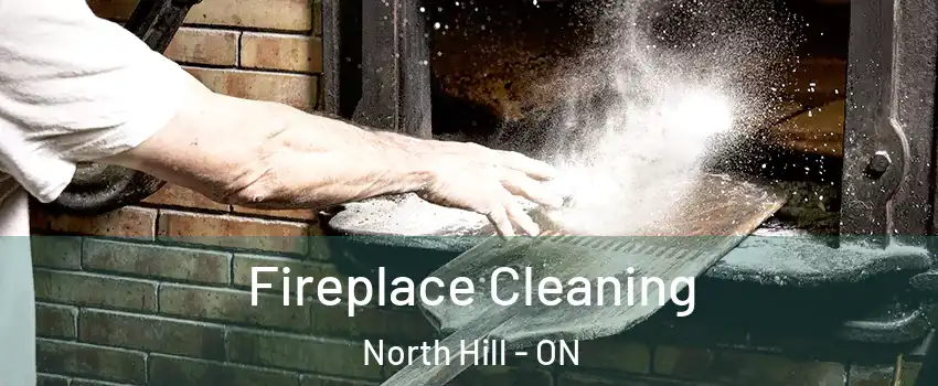 Fireplace Cleaning North Hill - ON