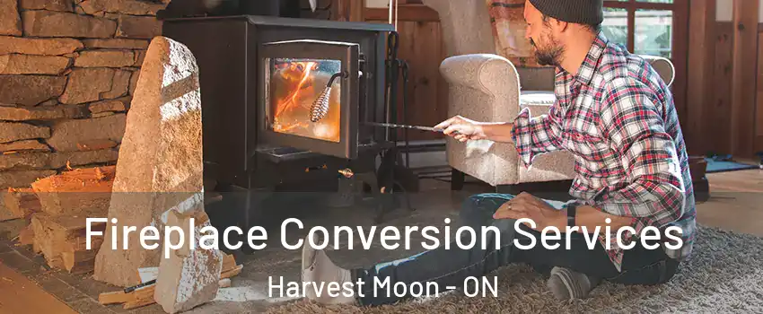 Fireplace Conversion Services Harvest Moon - ON